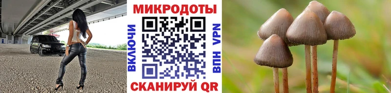 Псилоцибиновые грибы Magic Shrooms  МЕГА рабочий сайт  Искитим 