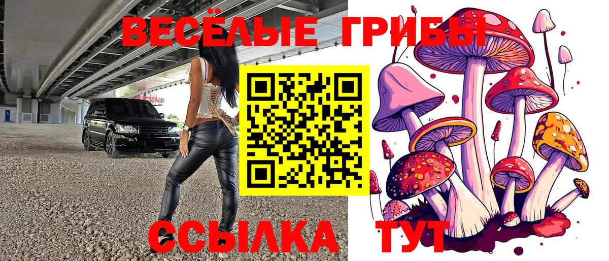 Псилоцибиновые грибы MAGIC MUSHROOMS  Псилоцибиновые грибы прущие грибы  Вход с VPN  Искитим 